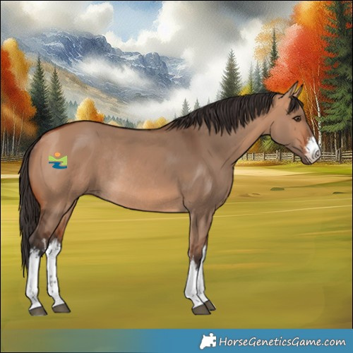 Horse Color:White Spotted Bay Dun Rabicano
