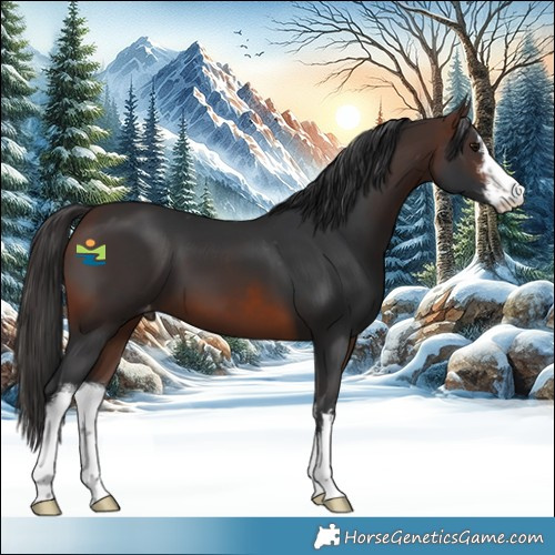 Horse Color:White Spotted Brown Skewed LP Spotted 