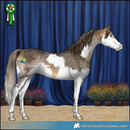 Horse Color:Buckskin Splash Skewed LP Spotted
