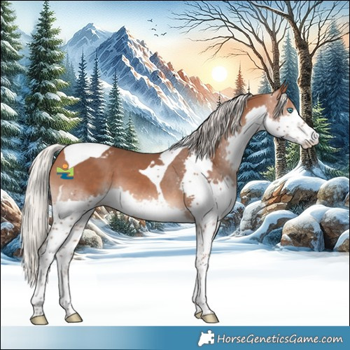Horse Color:Silver Bay Splash Tobiano Skewed Appaloosa
