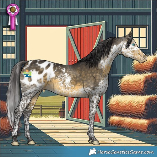 Horse Color:Buckskin Splash Tobiano Blanket