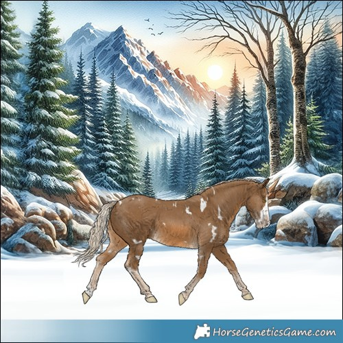 Horse Color:White Spotted Chocolate Palomino Splash