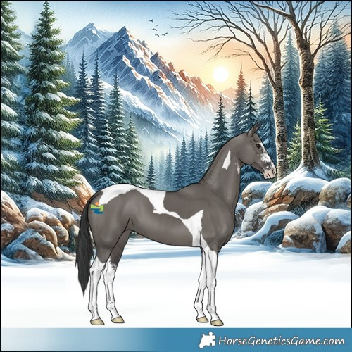 Horse Color:Grullo Sabino Tobiano