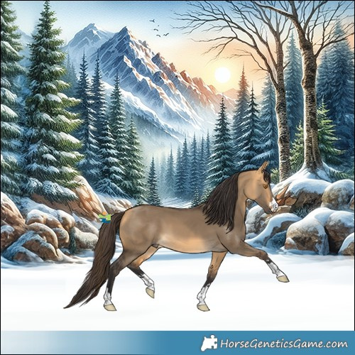 Horse Color:Buckskin Dun
