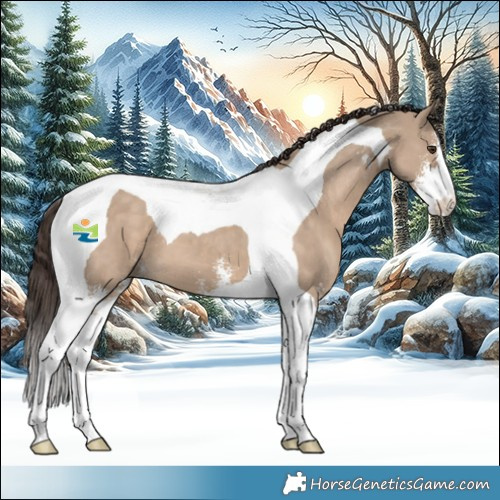 Horse Color:Liver Red Dun Sabino Tobiano 