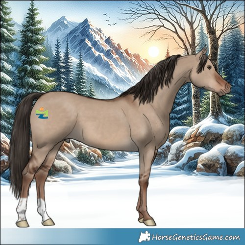 Horse Color:Liver Red Dun 