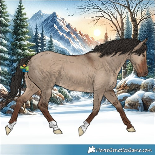 Horse Color:Liver Red Dun