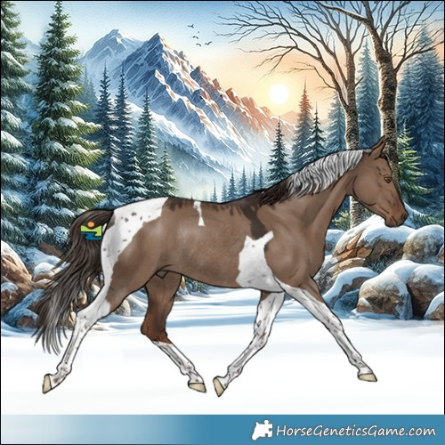 Horse Color:Liver Red Dun Tobiano Rabicano
