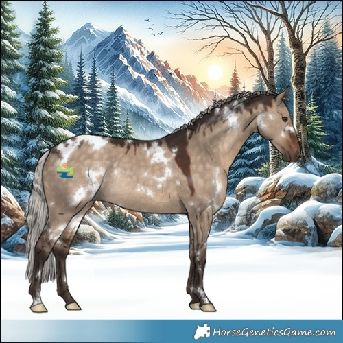 Horse Color:White Spotted Silver Brown Dun Rabicano 