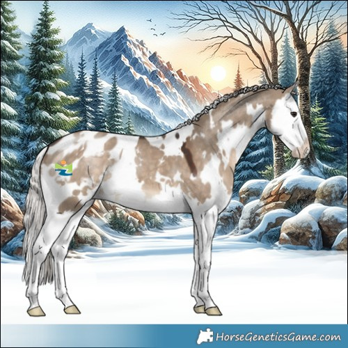 Horse Color:White Spotted Silver Brown Dun Splash Appaloosa