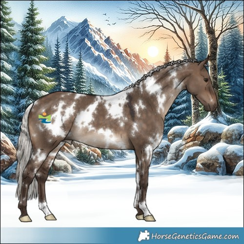 Horse Color:White Spotted Silver Brown Dun