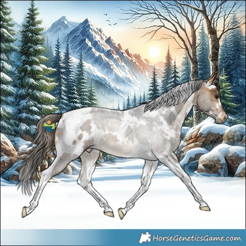 Horse Color:White Spotted Buckskin Tobiano
