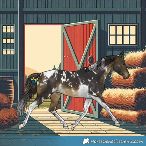 Horse Color:White Spotted Buckskin Tobiano 