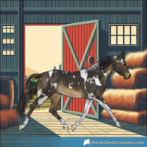 Horse Color:White Spotted Buckskin Tobiano