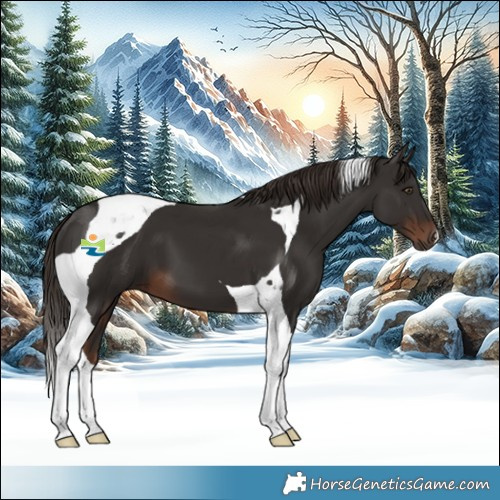 Horse Color:Liver Chestnut Tobiano 