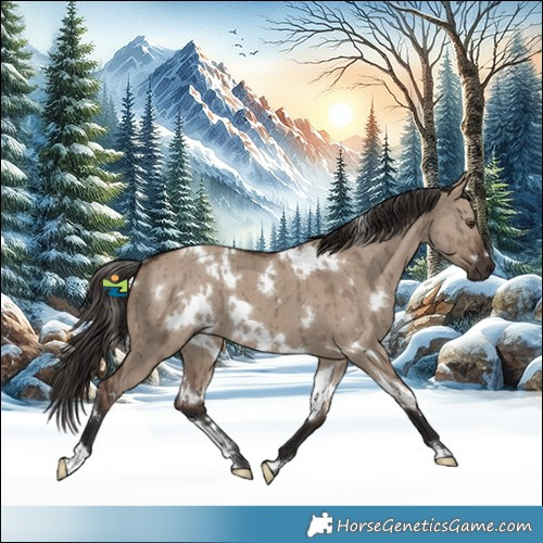 Horse Color:White Spotted Liver Red Dun Brindle