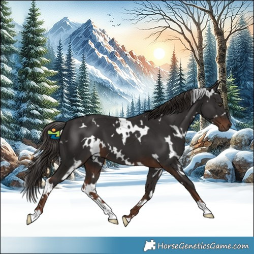 Horse Color:White Spotted Liver Chestnut 