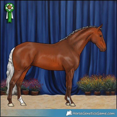 Horse Color:Silver Bay