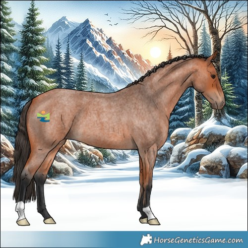 Horse Color:Bay Roan 