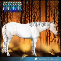 Horse Color:Silver Classic Champagne Roan Dun Tobiano Near Leopard