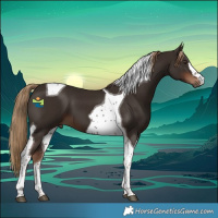 Horse Color:Liver Chestnut Tobiano