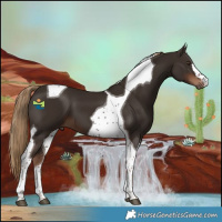 Horse Color:Liver Chestnut Tobiano