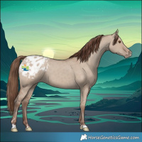 Horse Color:Classic Champagne Dun Blanket 