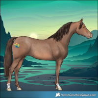 Horse Color:Amber Champagne Varnish Rabicano
