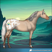 Horse Color:Silver Bay Dun Blanket