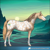 Horse Color:Gold Champagne Near Leopard 