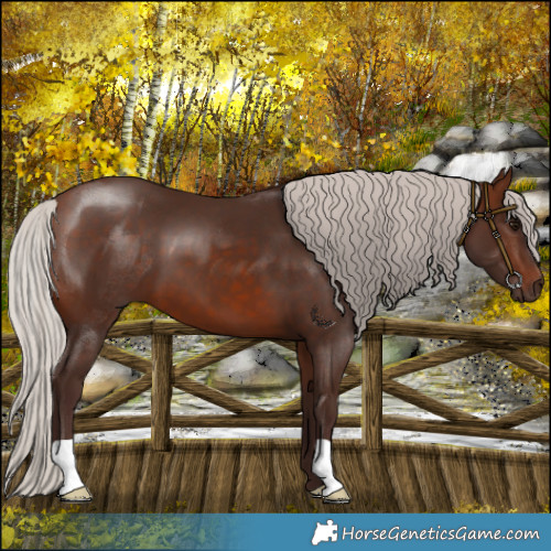 Horse Color:Silver Brown 