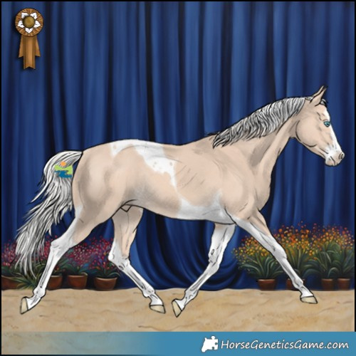 Horse Color:Silver Perlino Splash Tobiano Rabicano