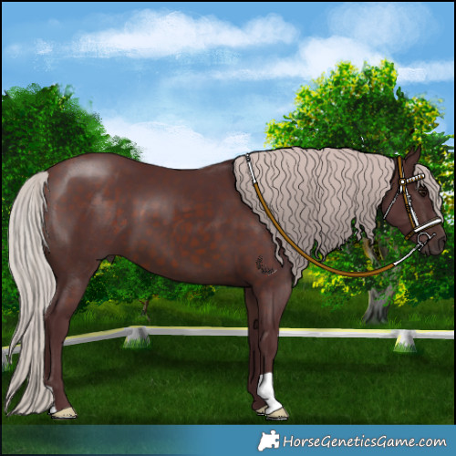 Horse Color:Chocolate Silver Brown