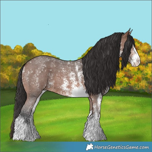 Horse Color:Brown Sabino