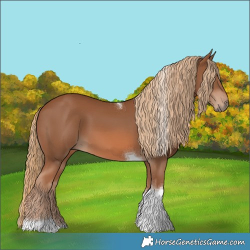 Horse Color:Chestnut Tobiano