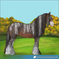 Horse Color:Powder White Brown Sabino