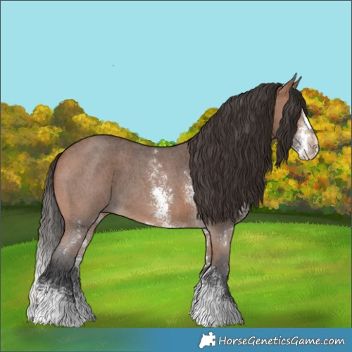 Horse Color:Bay Sabino