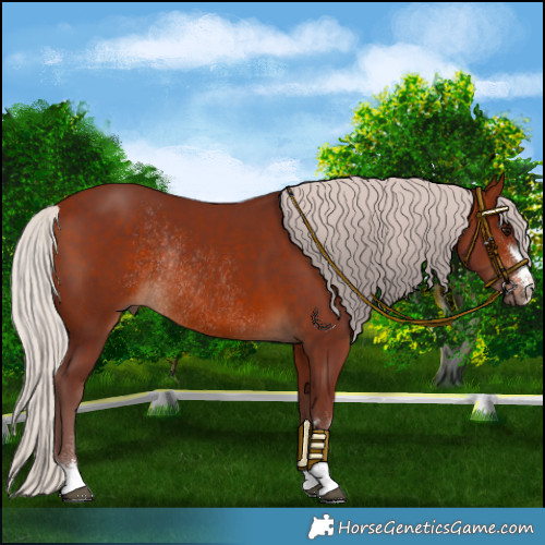 Horse Color:Chocolate Silver Brown Rabicano 