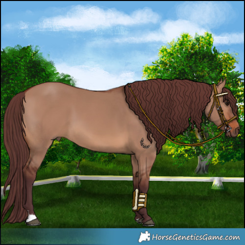 Horse Color:Chocolate Brown Dun Sabino