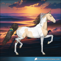 Horse Color:Buckskin Tobiano Rabicano