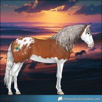 Horse Color:Silver Bay Splash Varnish