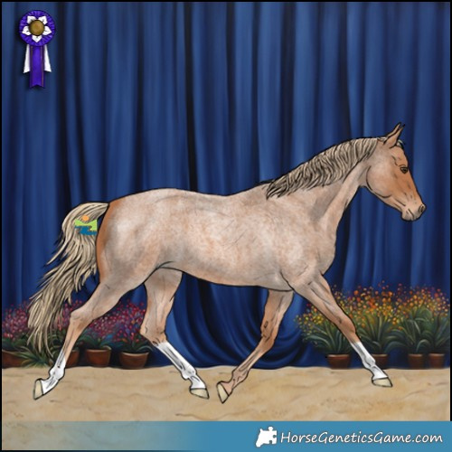 Horse Color:Red Roan 