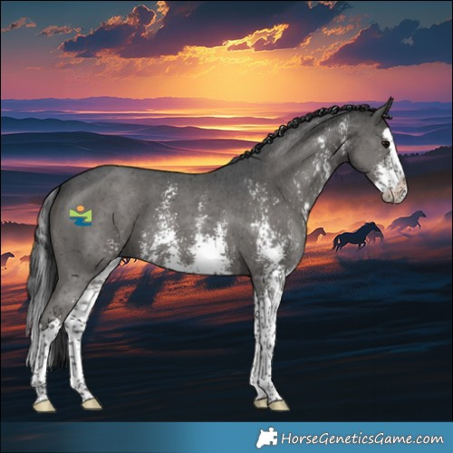 Horse Color:Black Sabino Splash