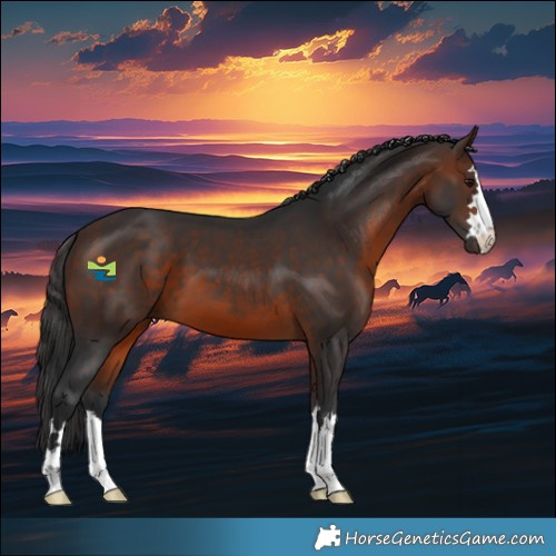 Horse Color:Brown 