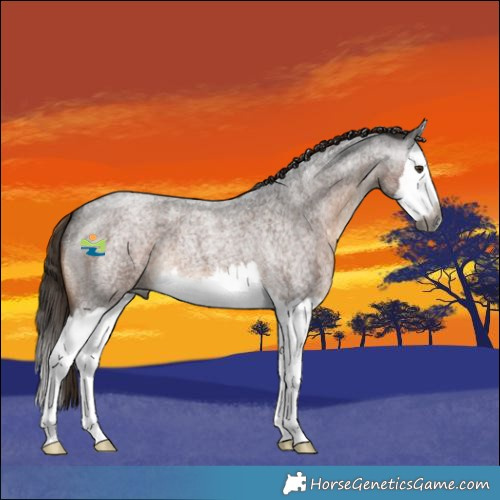 Horse Color:Gray Liver Red Roan Splash 