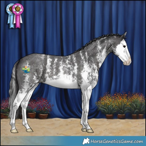 Horse Color:Smoky Black Sabino Splash
