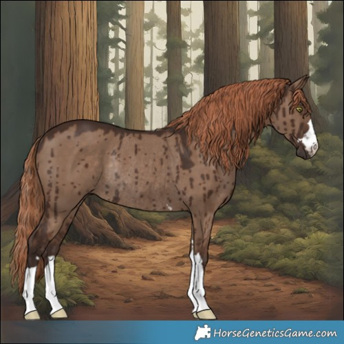 Horse Color:Liver Red Dun Rabicano Brindle