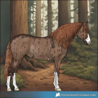 Horse Color:Liver Red Dun Rabicano Brindle 