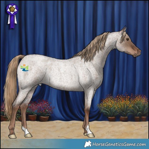 Horse Color:Liver Red Dun Roan Rabicano