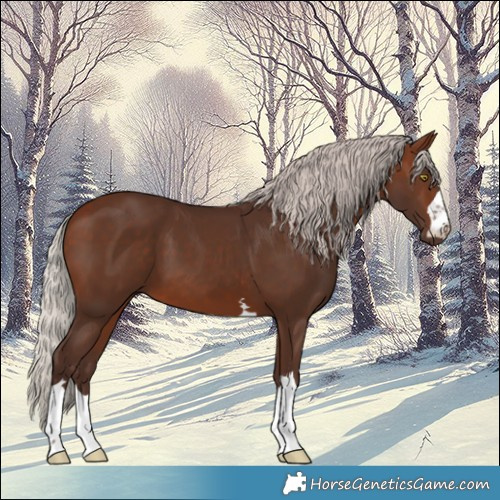 Horse Color:Silver Brown 
